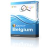 IQUALIF Belgia Żółty, Firmy